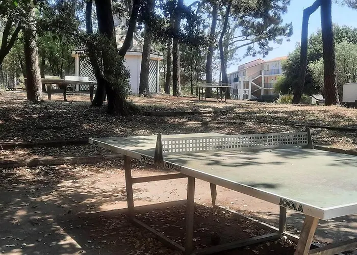 4 Pers / Terrasse / Espace Aquatique * Talmont-Saint-Hilaire